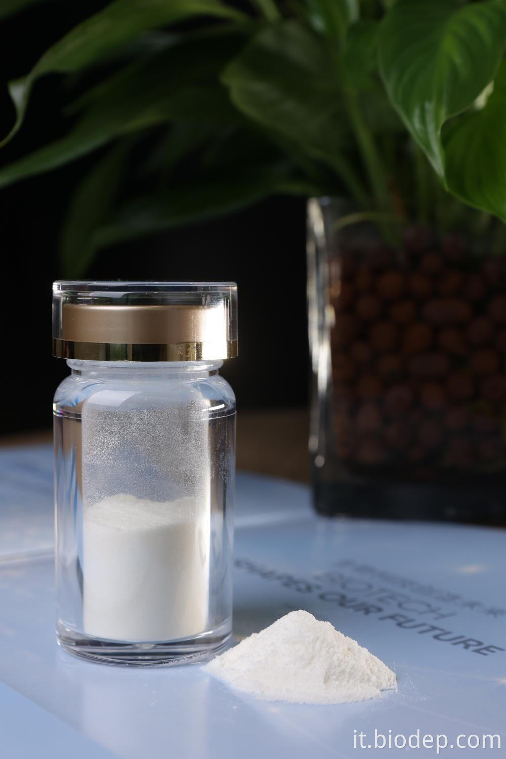 Akkermansia Muciniphila